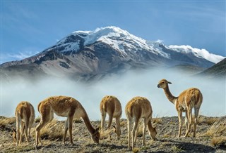 Équateur et Galápagos